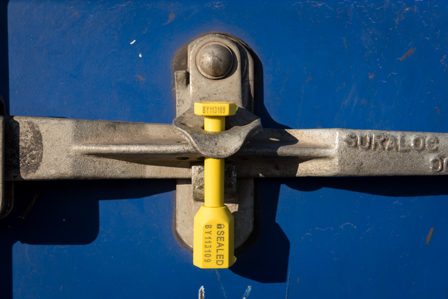 Bolt Seal 3.75 Removable Label